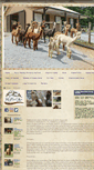 Mobile Screenshot of highlandairsalpaca.com