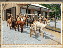 Tablet Screenshot of highlandairsalpaca.com